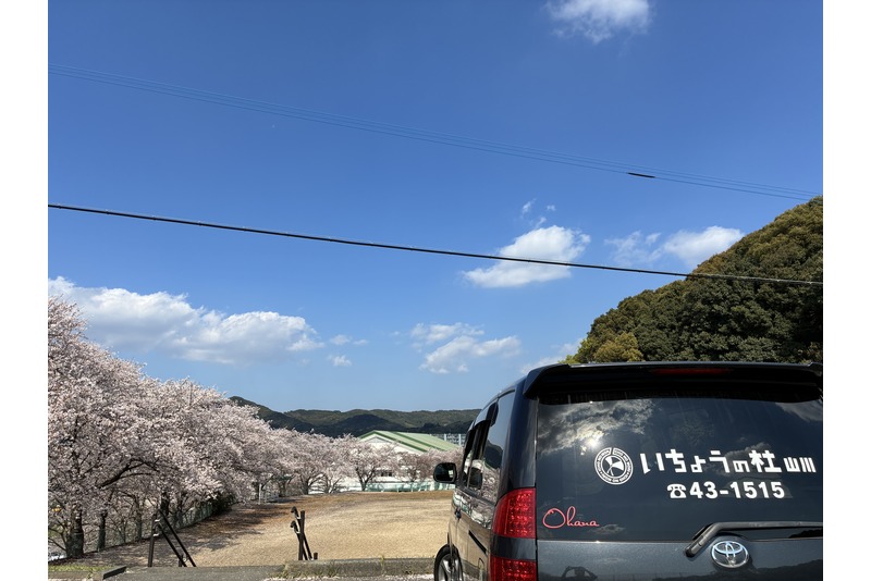 ☘️春です☘️